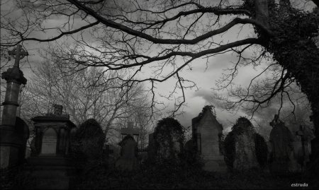 Кладбище мрачное