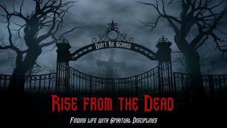 Кладбище ночью тим бертон