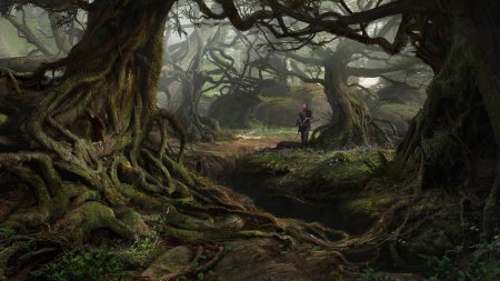 Лес фангорн властелин колец