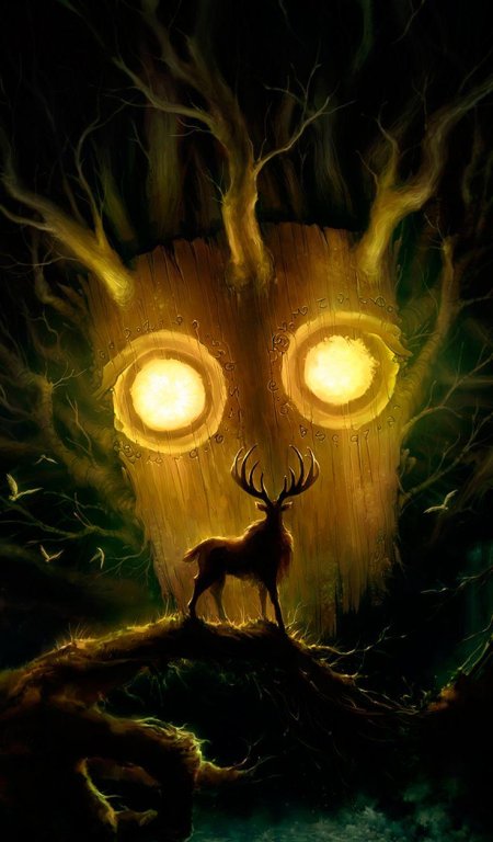 Викка кернуннос