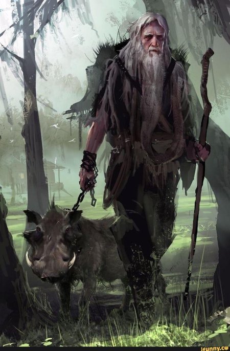 Матузаликс друид