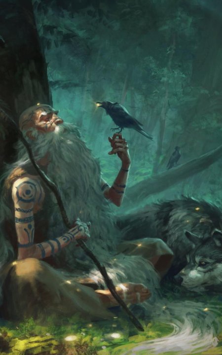 Шаман фэнтези