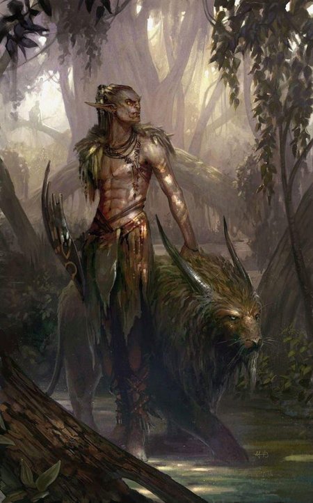 Лесной эльф днд