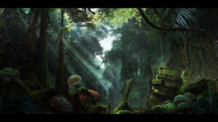 Тропический лес фон