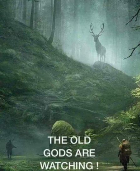 Олени в лесу