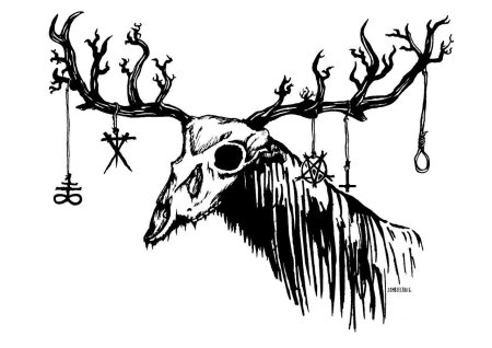 Череп оленя