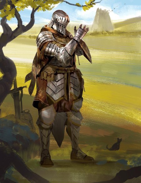 Паладин странствующий рыцарь