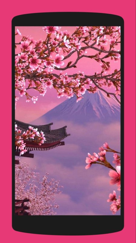 Сакура цветущее дерево