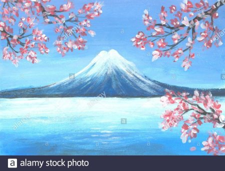 Цветение сакуры фудзияма