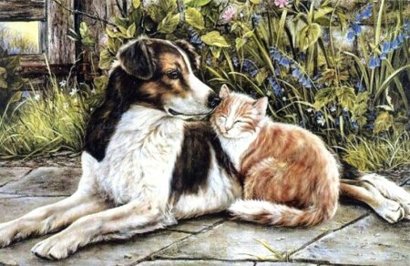 Художник shirley deaville