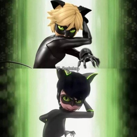 Супер кот катаклизм