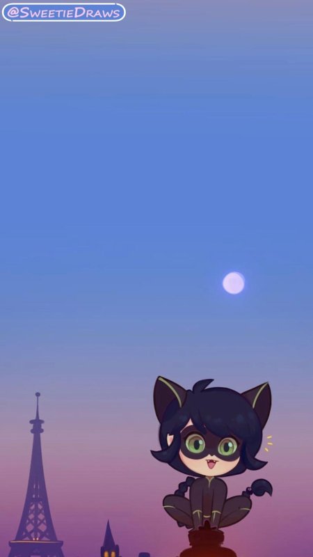 Леди баг и супер кот кошка