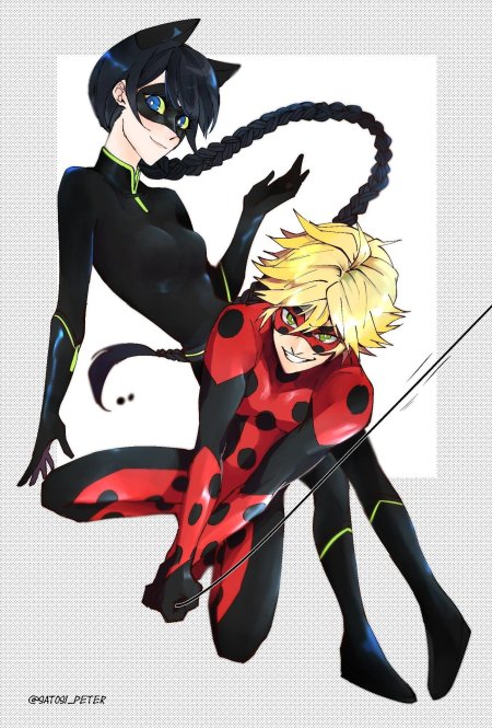 Взрослые леди баг и супер кот