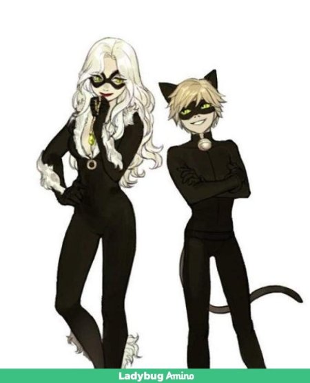 Леди баг и супер кот леди кошка