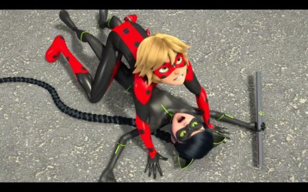 Леди нуар и мистер баг