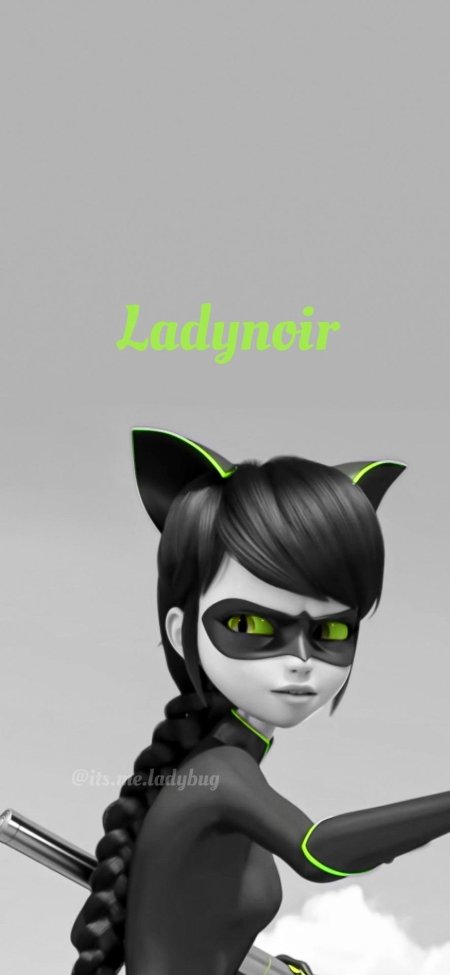 Леди баг и супер кот леди кошка