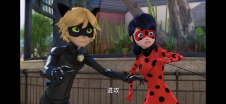 Miraculous ladybug cat noir