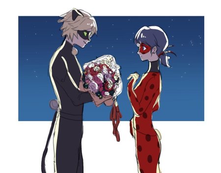 Леди баг и супер кот герои