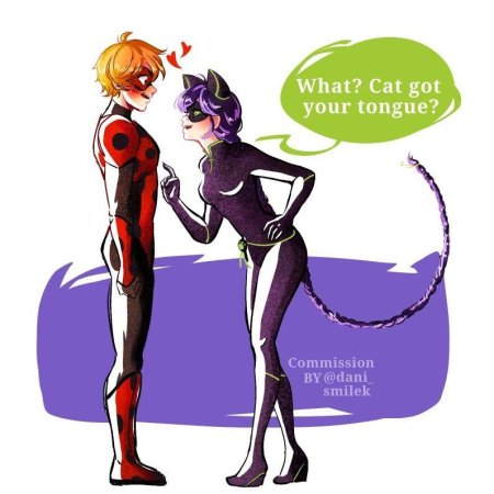 Miraculous ladybug cat noir