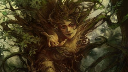 Сильва раса