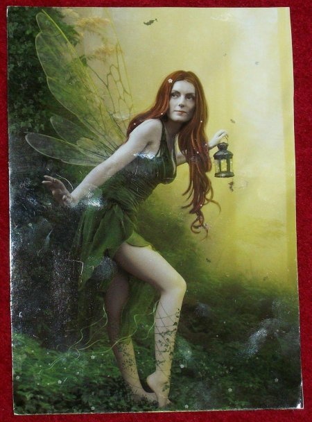 Лесная фея мариэлла вайз