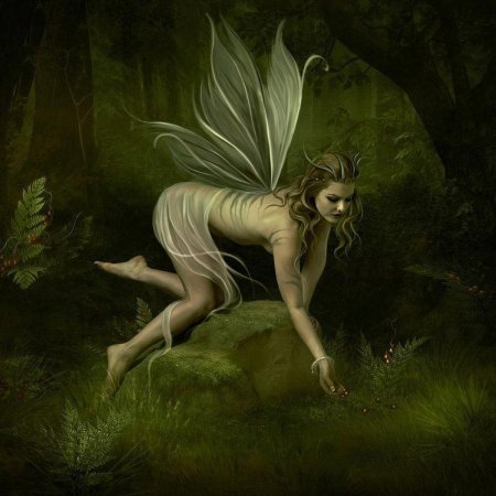 Фея леса