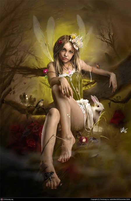 Лысакова дарина \ феи и эльфы\