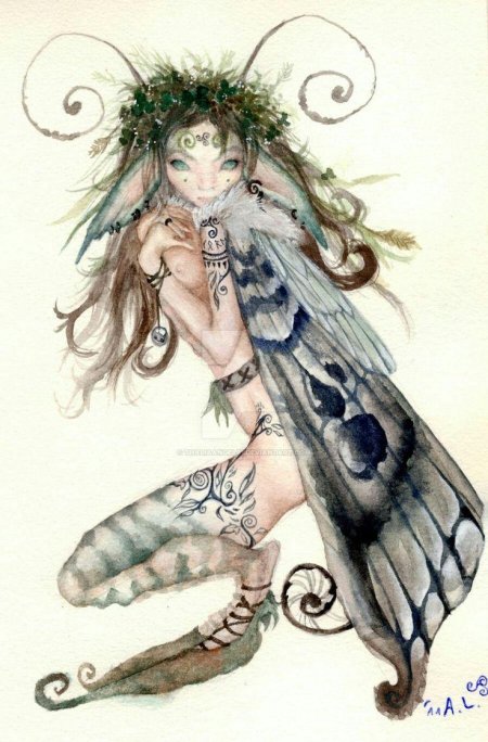 Молли харрисон феи эльфы