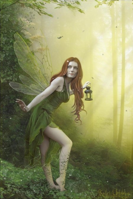 Лесная фея реми-чан