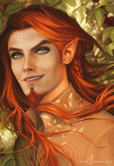 Тамлин королевство шипов