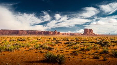Аризона пустыня