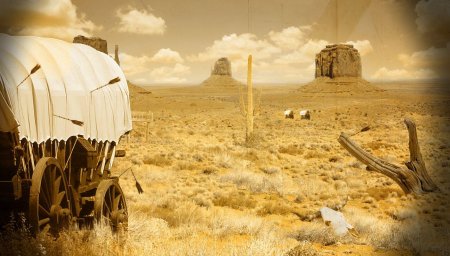 Пустыня ковбои дикий запад