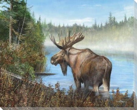 Кевин коуртер художник