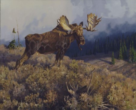 Карл рунгиус бычий лось