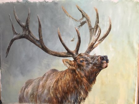 Эйктюрнир олень