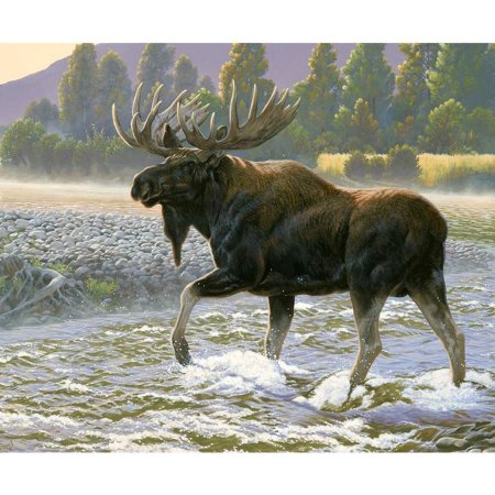 Ал.агнев художник-анималист