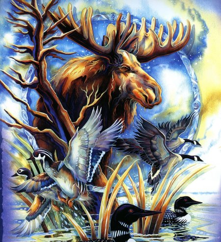 Джоди бергсма тотемы