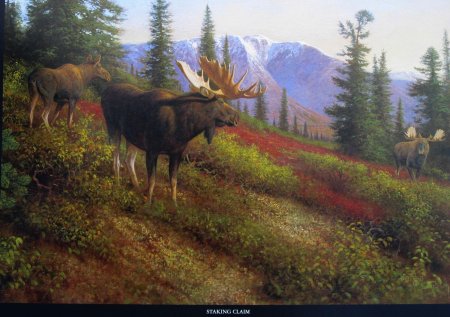 Michael sieve лоси