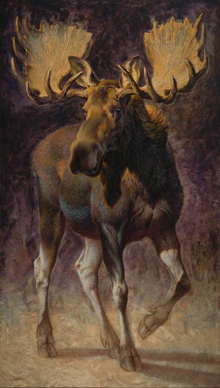 Животные картина