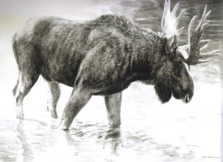 Robert bateman лось
