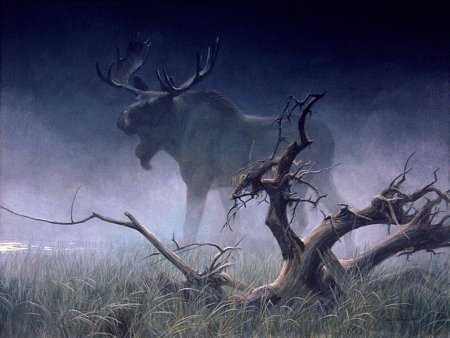 Картины художника анималиста greg alexander.