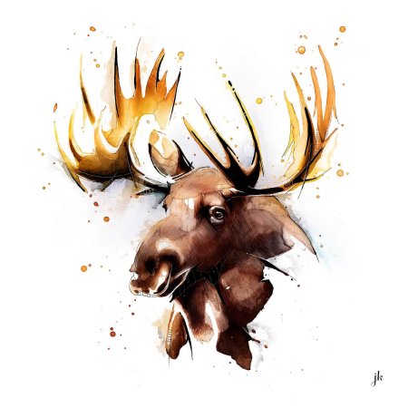 Акварельные рисунки