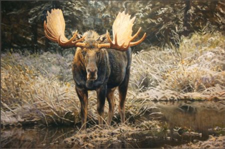 Robert bateman лось