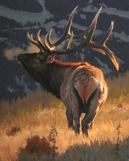 Художник-анималист грег бичем