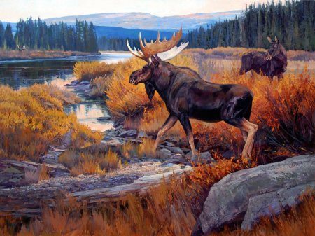 Анималист ken carlson.