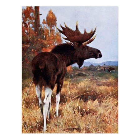 Джексон хоул художник анималист лось