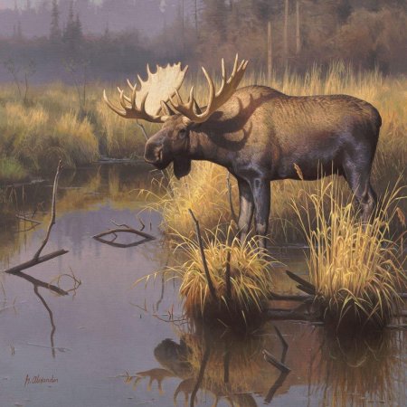 Картины художника анималиста greg alexander.