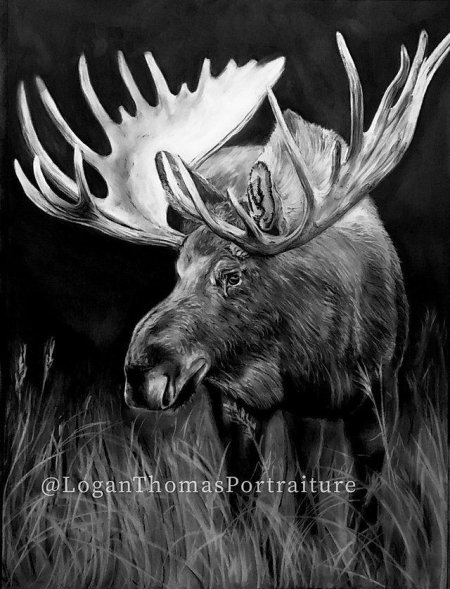 Лось рисунки