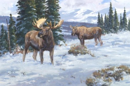 Лось в зимнем лесу