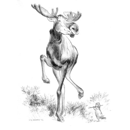 Лось карандашом